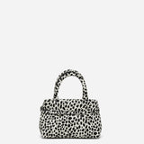 Le Cambon 20 Dalmatian