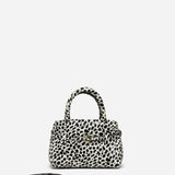 Le Cambon 20 Dalmatian