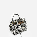 Le Cambon 20 Dalmatian